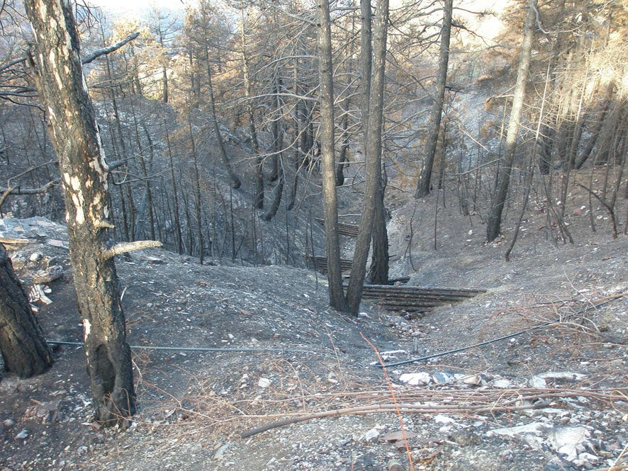 Μέτρα ανόρθωσης των δασικών οικοσυστημάτων μετά από πυρκαγιές